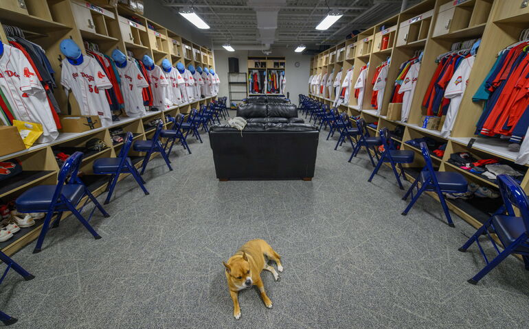 Dakota inside Sea Dogs clubhouse 