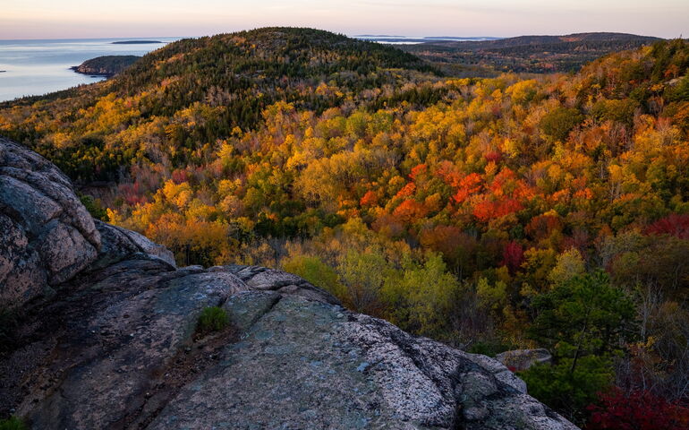 A view of woods with colorful leaves.