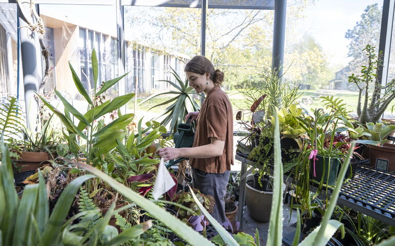 A person is surrrounded by plants.
