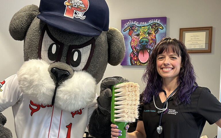 Dentist with Slugger and giant toothbrush 