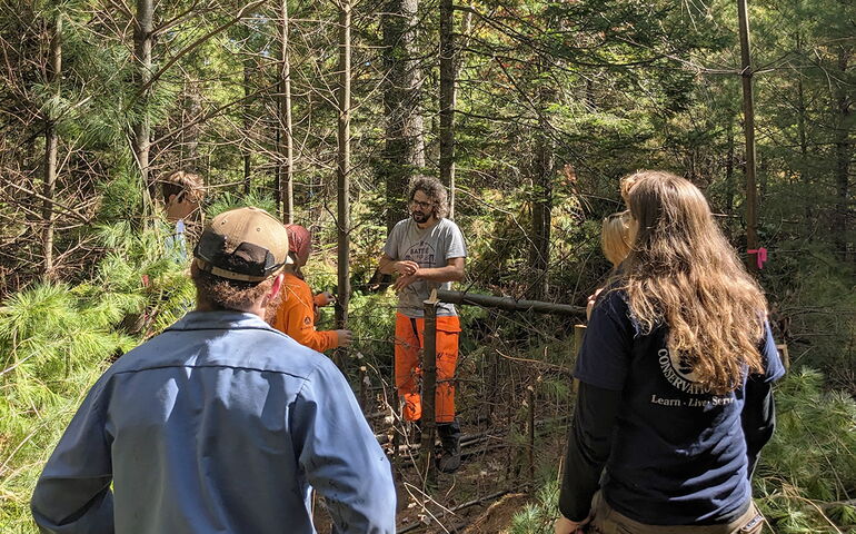 People stand in the woods.