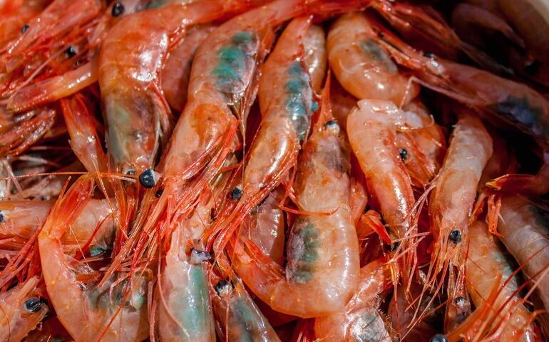 A close-up view of shrimp.