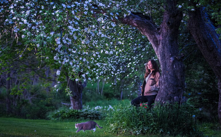 Woman under tree next to cat in field 