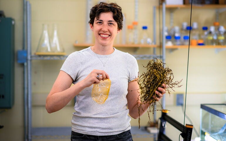Alexa McGovern of Dirigo Sea Farm in her laboratory.