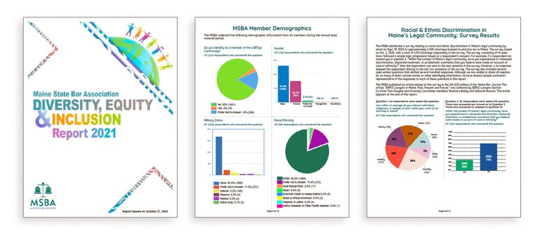 Report pages 