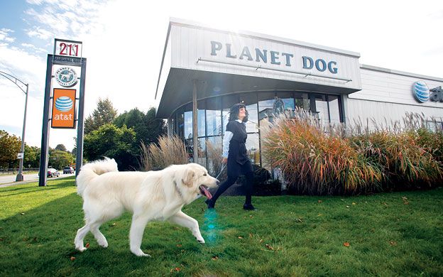 Planet 2025 dog store