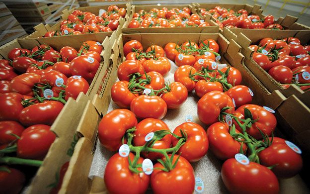 Third time's a charm for Madison's Backyard Farms | Mainebiz.biz