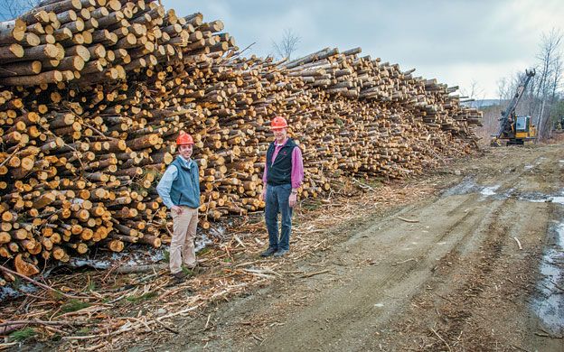 Plum Creek Embraces Mixed Use Forestry In Its 865 000 Acres Of North Woods Mainebiz Biz