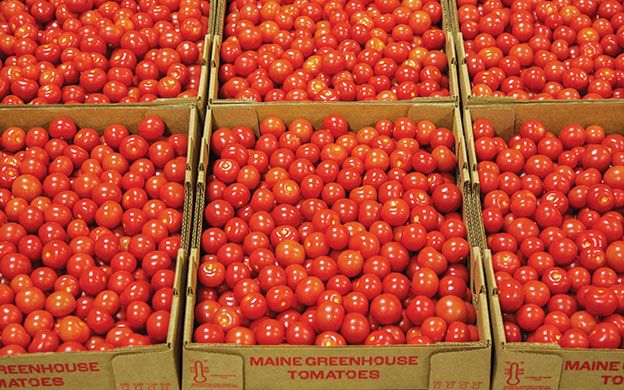 Ripeness Is All As Backyard Farms Marks 10th Anniversary