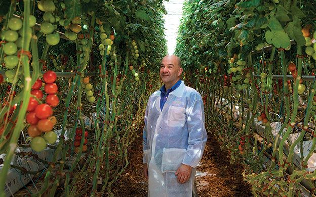 Backyard Farms Sold To Canada S Mastronardi Produce Mainebiz Biz