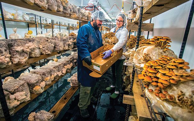 Seven Maine Food Companies Selected For Cultivator Accelerator