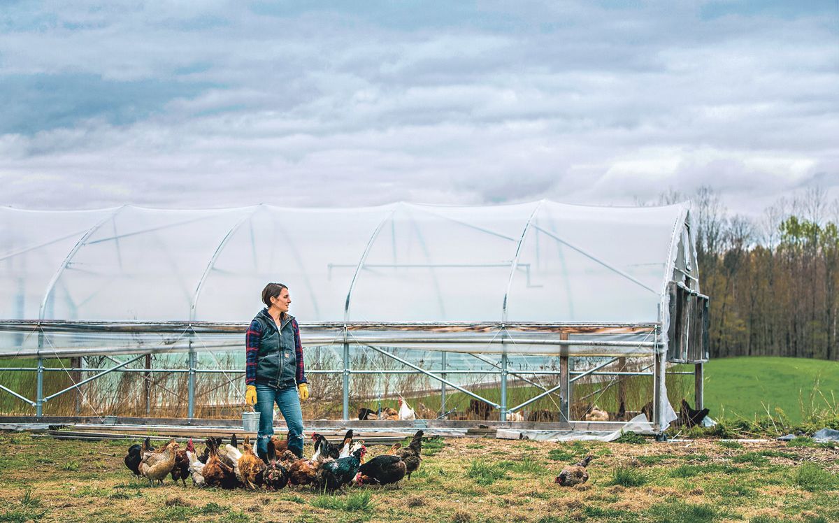 Auburn farmer Karen Bolduc